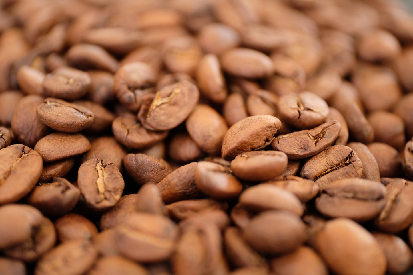 ブラジル さくらブルボン