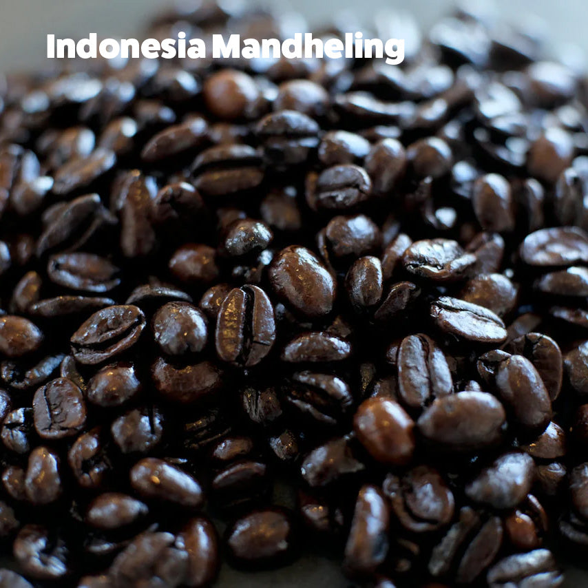 【送料無料】 フレンチロースト飲み比べセット 400g