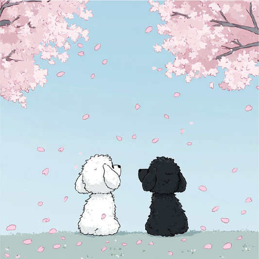 ブラジル　さくらブルボン